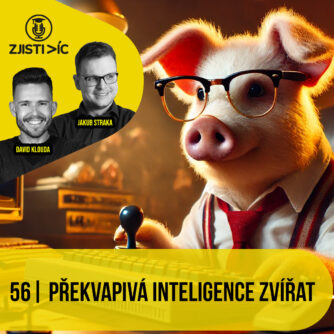 Překvapivá inteligence zvířat | Podcast Zjisti víc